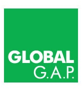 global