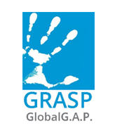 gr