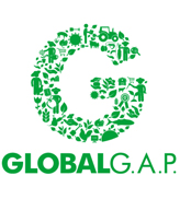 global